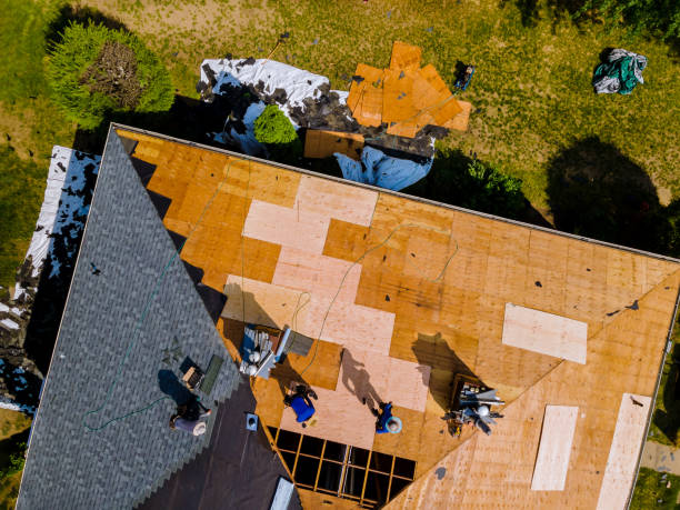 Best Roof Restoration Services  in Dayton, WA