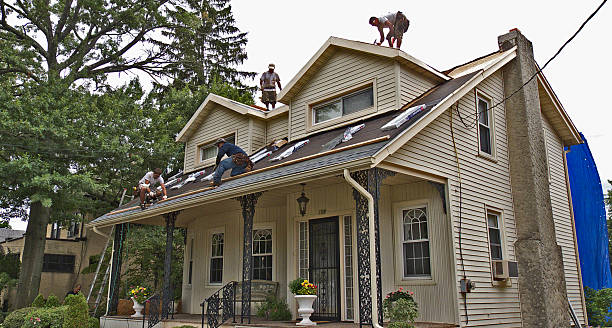 Best Shingle Roofing Installation  in Dayton, WA